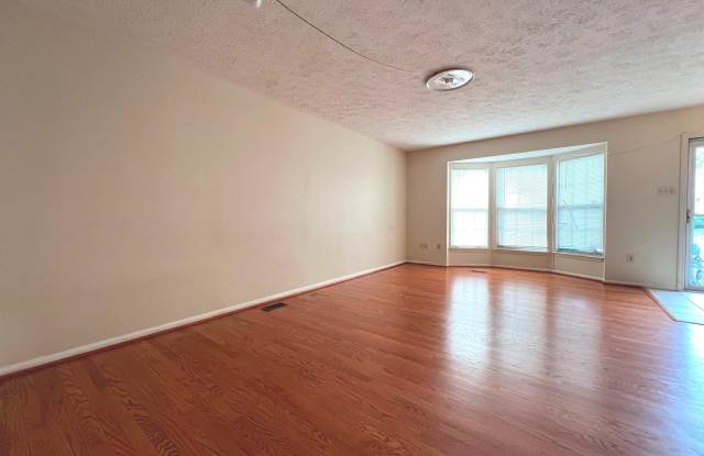8531 BLACK STAR Circle Gallery 2