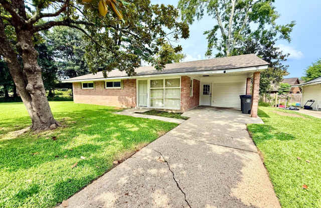Updated 3 Bedroom Home with Large Fenced Yard in Land O' Lakes Gallery 3