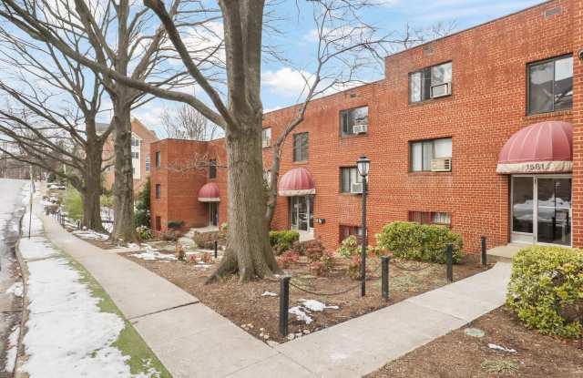 1581 N COLONIAL Terrace Gallery 2