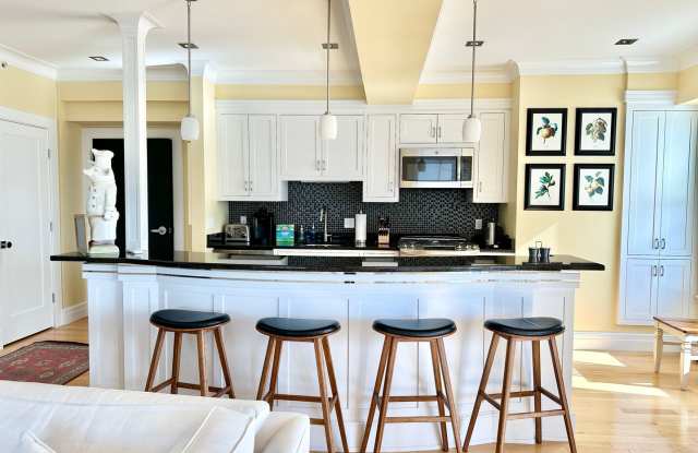 Penthouse Condo in Downtown Portland Peninsula photos photos