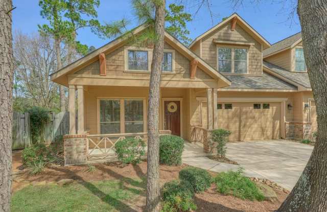 22 Douvaine Court - 22 Douvaine Court, The Woodlands, TX 77382