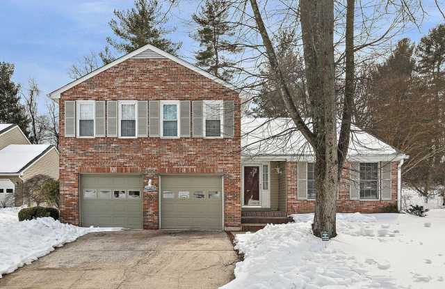 10123 SILVER TWINE photos photos