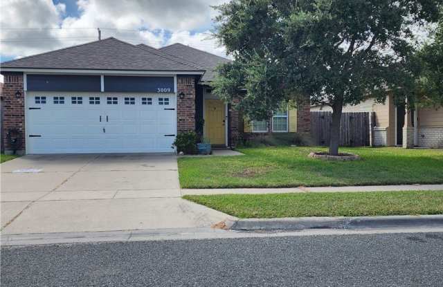 3009 Las Brisas Street photos photos