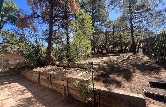 Large 3 Bed/2 Bath HOUSE in East Flag - $2,200.00!! Gallery 3