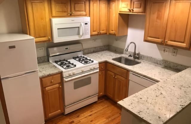 865-67 W Buckingham - 867 West Buckingham Place, Chicago, IL 60657