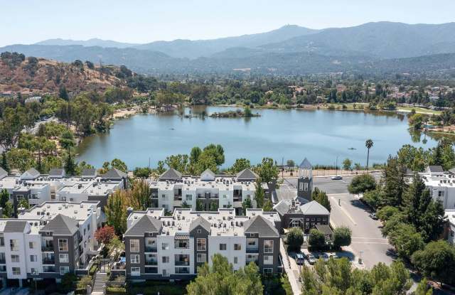 Almaden Lake Village Gallery 2