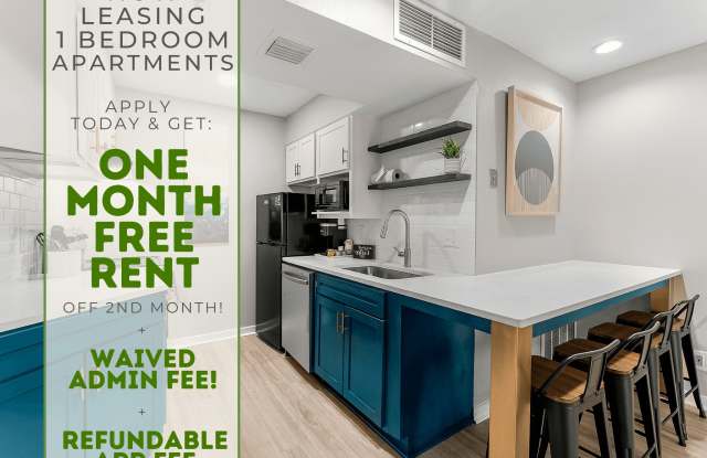 505 Collection photos photos