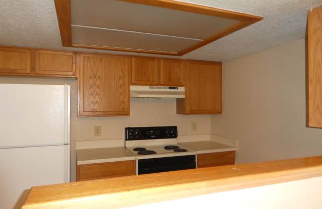 1107 MAYPORT LANDING CIR Gallery 4