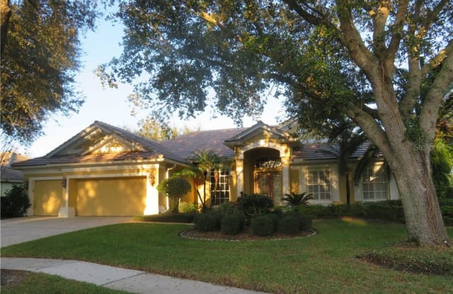 17805 ARBOR HAVEN DRIVE - 17805 Arbor Haven Drive, Tampa, FL 33647