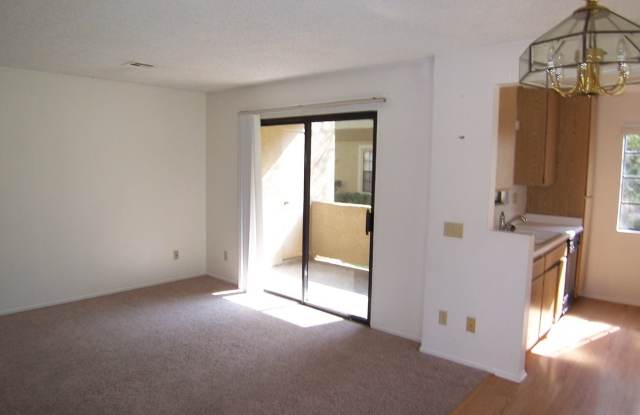 10371 Azuaga #151 Gallery 3