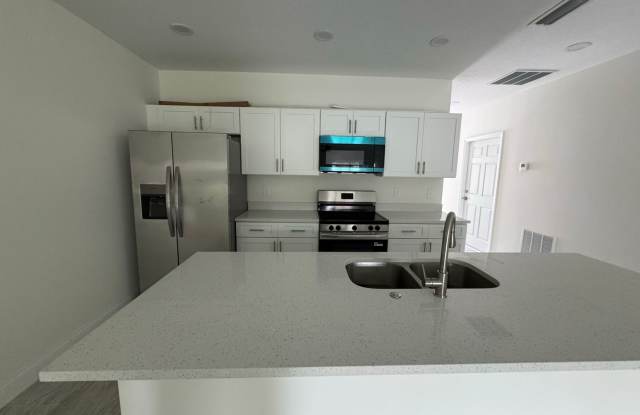 Brand new Beautiful 4/2 home Gallery 3