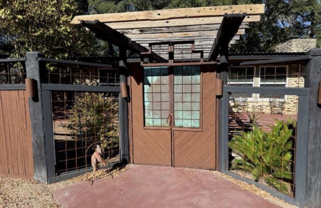 1520 Owl photos photos