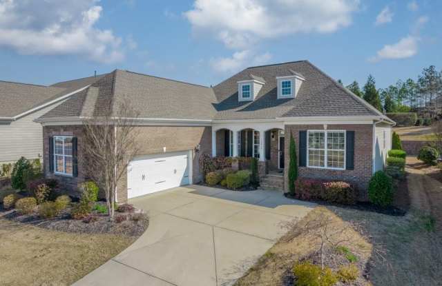 15016 High Bluff Court - 15016 High Bluff Court, Mecklenburg County, NC 28278