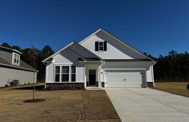 Beautiful New Construction - 5029 Cinnamon Run, New Bern, NC 28562