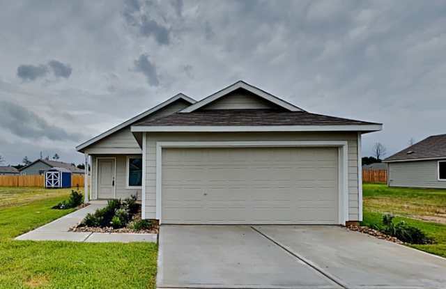 18711 Barrichello Drive - 18711 Barrichello Drive, Montgomery County, TX 77306