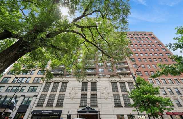 1250 N Dearborn Street photos photos