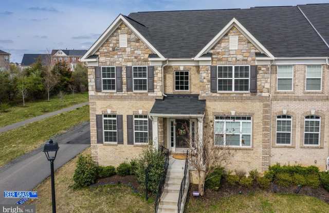 41692 DEER GRASS TERRACE - 41692 Deer Grass Terrace, Stone Ridge, VA 20105
