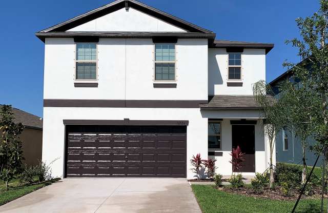 10524 Carloway Hills Dr - 10524 Carloway Hills Dr, Balm, FL 33598