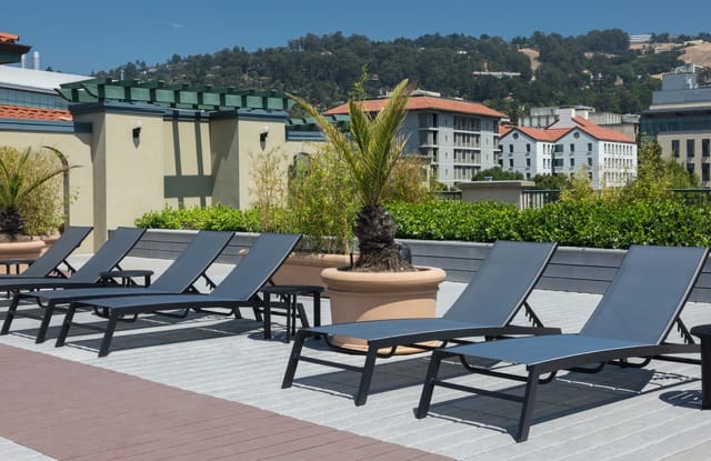 Bachenheimer Apartments Gallery 2