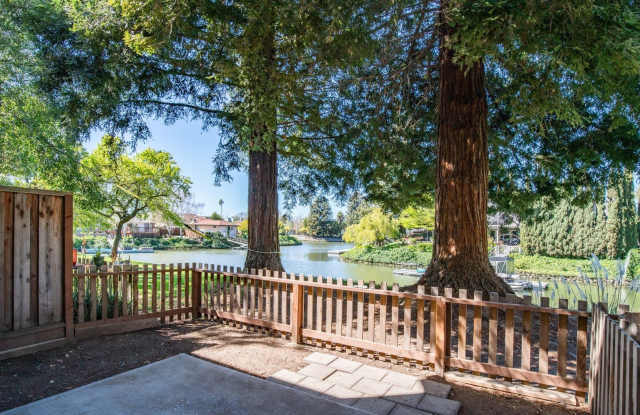 Marina Vista photos photos