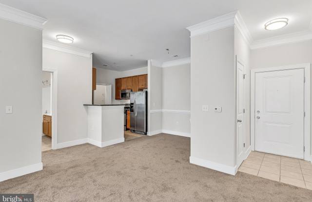 5400 AUTH Road unit: 337 Gallery 3