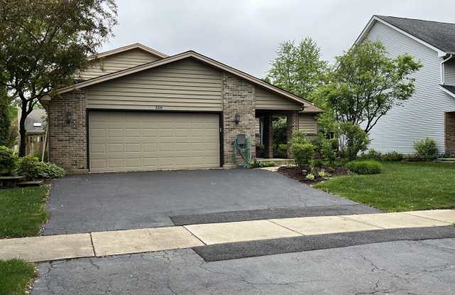 556 Beaconsfield Avenue photos photos