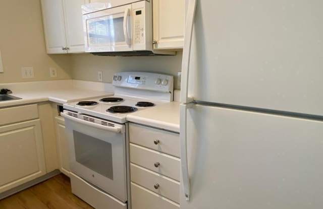 3023 Wellington Ridge Loop Gallery 4