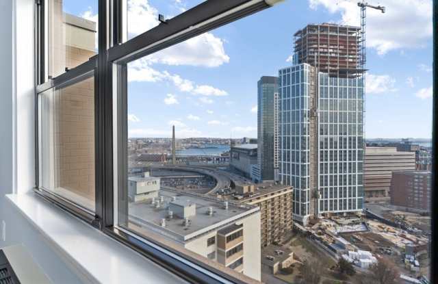 8 Whittier Place - 8 Whittier Place, Boston, MA 02114