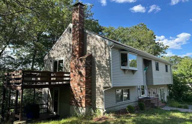 15 Curlew Street photos photos