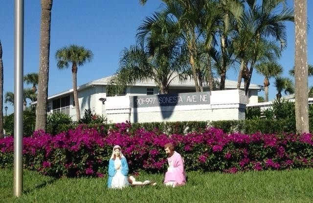 987 Sonesta Avenue NE unit: 207 photos photos