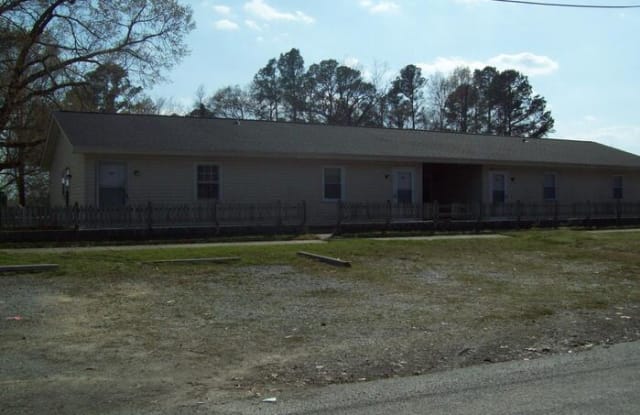 407 Chockoyotte Street - 407 Chockoyotte Street, Roanoke Rapids, NC 27870