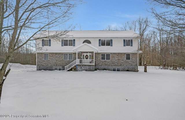 28 Robin Lane photos photos