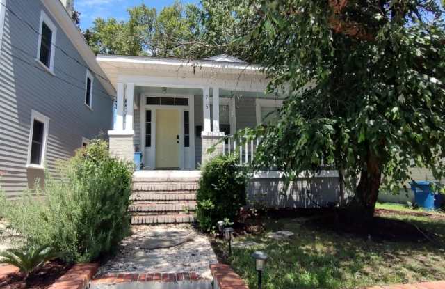 715 Red Cross Street - 715 Red Cross Street, Wilmington, NC 28401