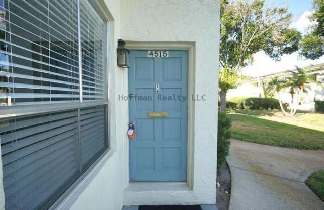 4515 La Capri Court - 4515 La Capri Court, Tampa, FL 33611