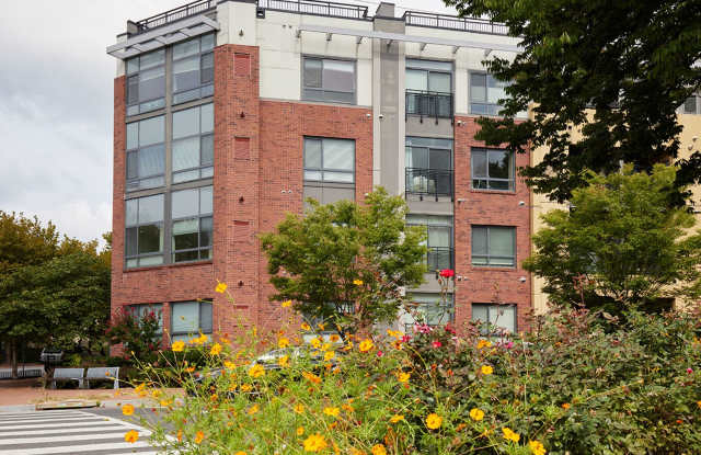 Spacious Two-Bedroom Silver Spring Apartment! Pets Welcomed/Amenities Galore! Gallery 1