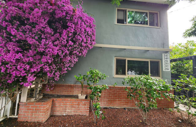 Newly Renovated 1BD/1BA – Prime Downtown Location Gallery 1