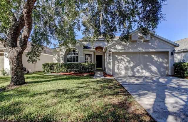 13431 WHITE ELK LOOP - 13431 White Elk Loop, Westchase, FL 33626