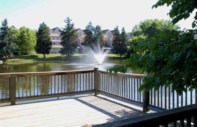 Lakeside Village Gallery 4