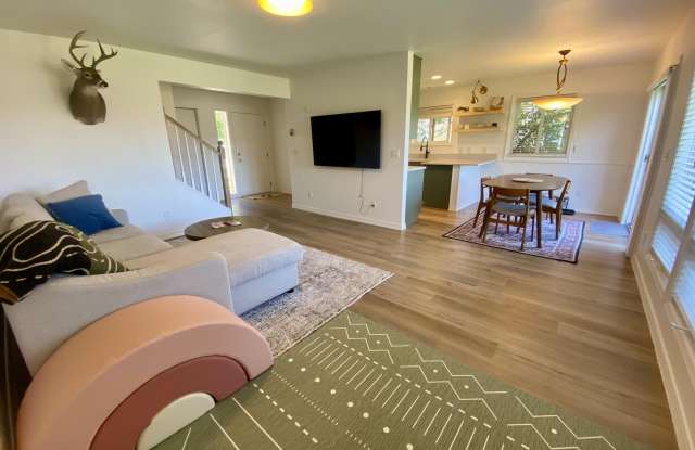 1167 Vitos Way - 1167 Vito's Way, Carbondale, CO 81623