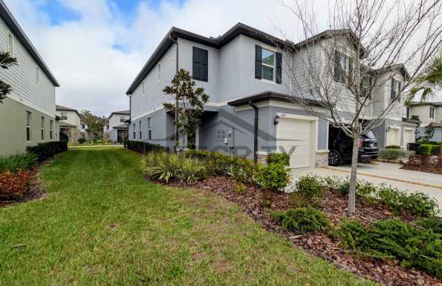 2 Bed/2.5 Bath, 1,541 Sqft - 6049 Shiner St Land O Lakes, FL 34638 photos photos