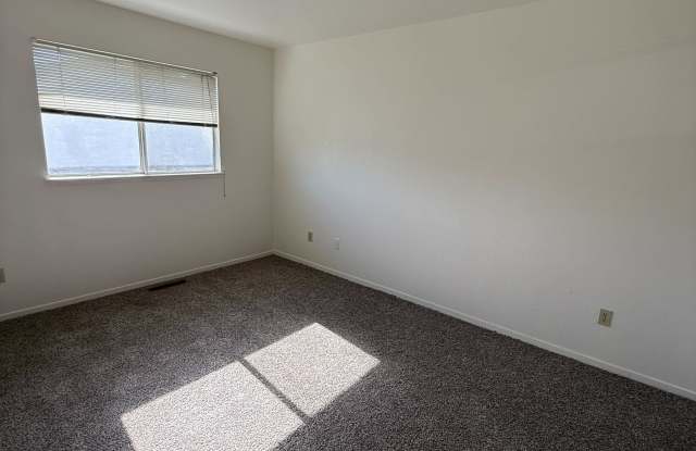 1251 North Olive Avenue - 121 photos photos