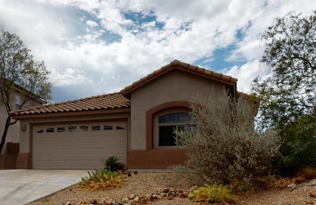 10836 E New Rock Ridge Drive - 10836 E New Rock Ridge Drive, Corona de Tucson, AZ 85641