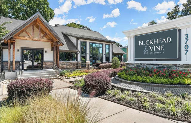 Buckhead and Vine photos photos