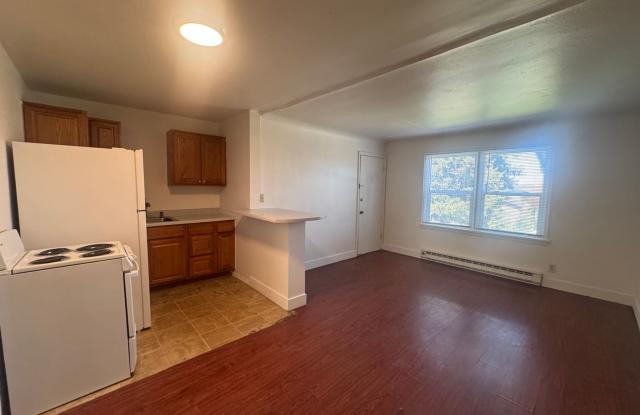 COZY 1BD/1BA LOWER SOUTH HILL APARTMENT | A/C | ON-SITE LAUNDRY | PET FRIENDLY | FIRST MONTH FREE, OAC. Gallery 2