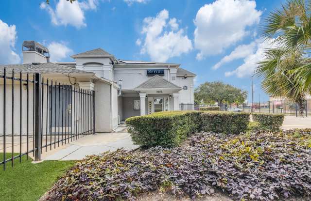 Fusion at Rye photos photos