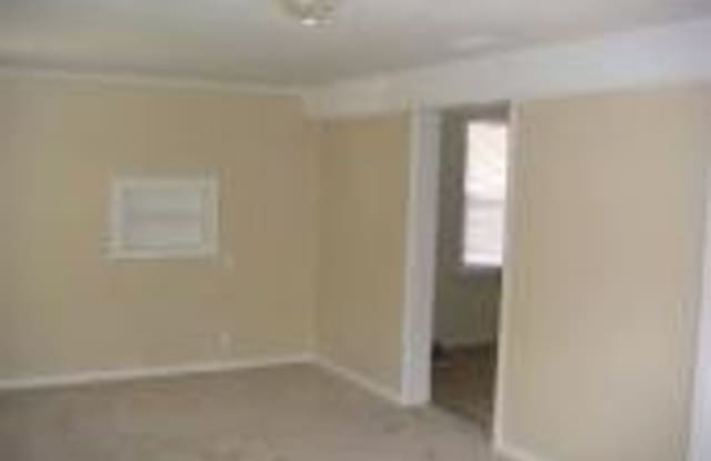 1181 Wycoff Ave. Gallery 3