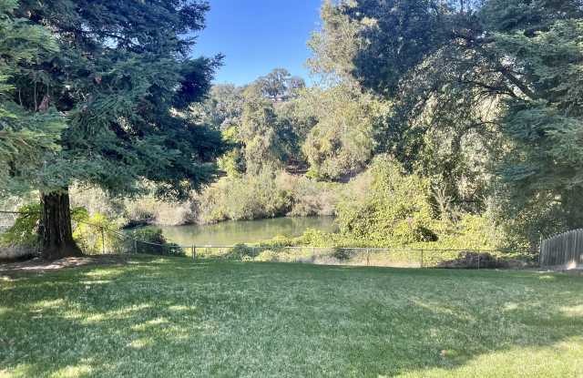 842 River Bluff Dr Gallery 4
