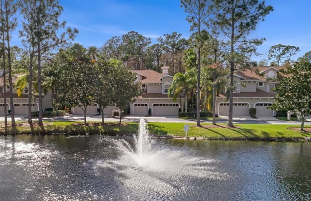4242 PRESERVE PLACE - 4242 Preserve Place, East Lake, FL 34685