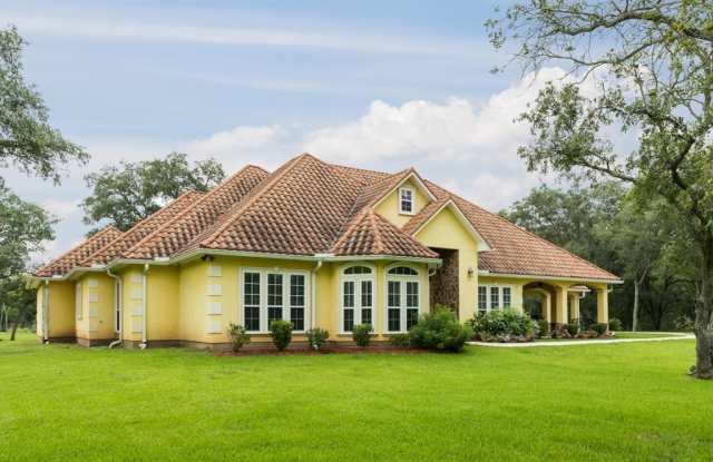 31910 Amberjack Drive Gallery 2