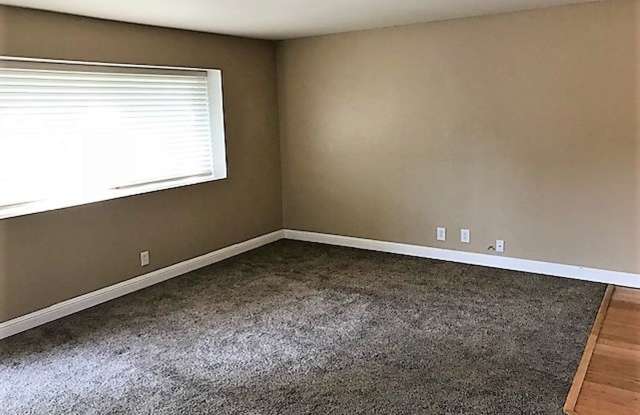 3 Bedroom with Fenced Yard in Laguna Lake Gallery 4